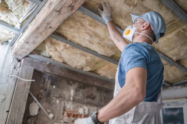 Best Spray Foam Insulation in Port Barre, LA