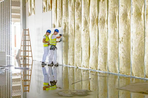 Types of Insulation We Offer in Port Barre, LA